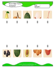 Resmi Diğer Yarısı ile Eşleştir Çalışma Sayfaları